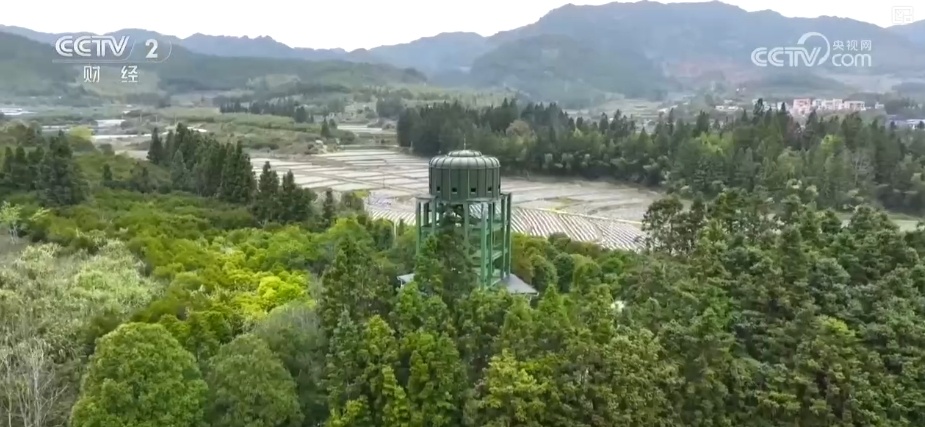 “观鸟经济”点绿成“金” “观鸟热”助推“文旅兴”激活消费多元活力