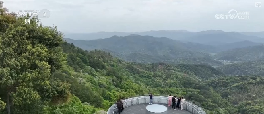 “观鸟经济”点绿成“金” “观鸟热”助推“文旅兴”激活消费多元活力