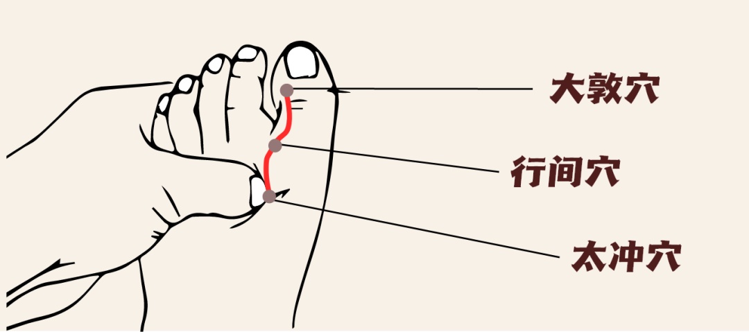 这六个穴位排肝毒、消火气，疏肝解郁开四关！
