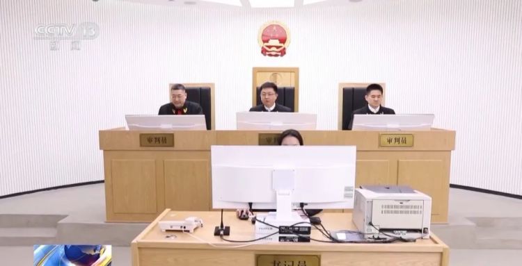 退运出境！商家进口近11吨“洋垃圾”被罚50万