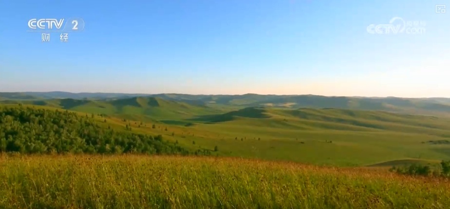 22亿亩、4600万亩、5.5亿吨！“数”说草原增绿扩绿成效显著
