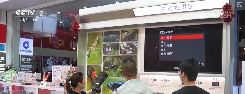 “观鸟经济”点绿成“金” “观鸟热”助推“文旅兴”激活消费多元活力