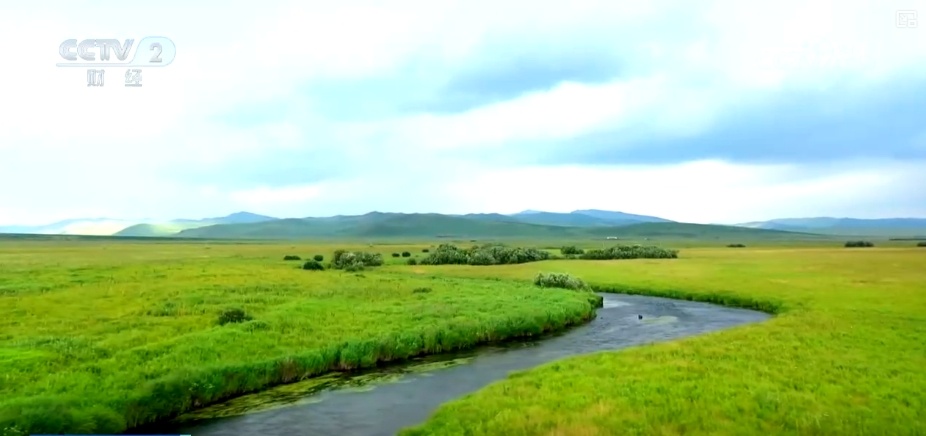 22亿亩、4600万亩、5.5亿吨！“数”说草原增绿扩绿成效显著