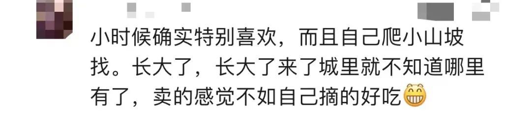 120元一斤！长沙人都出动了，随手摘一篮：满满的回忆杀