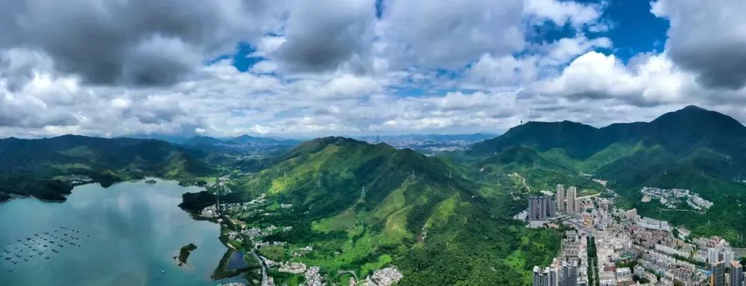 野猪在深圳梧桐山“职业乞讨”，景区回应→