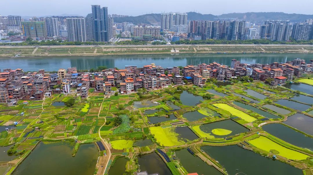 一边旱一边涝，广西天气咋回事？