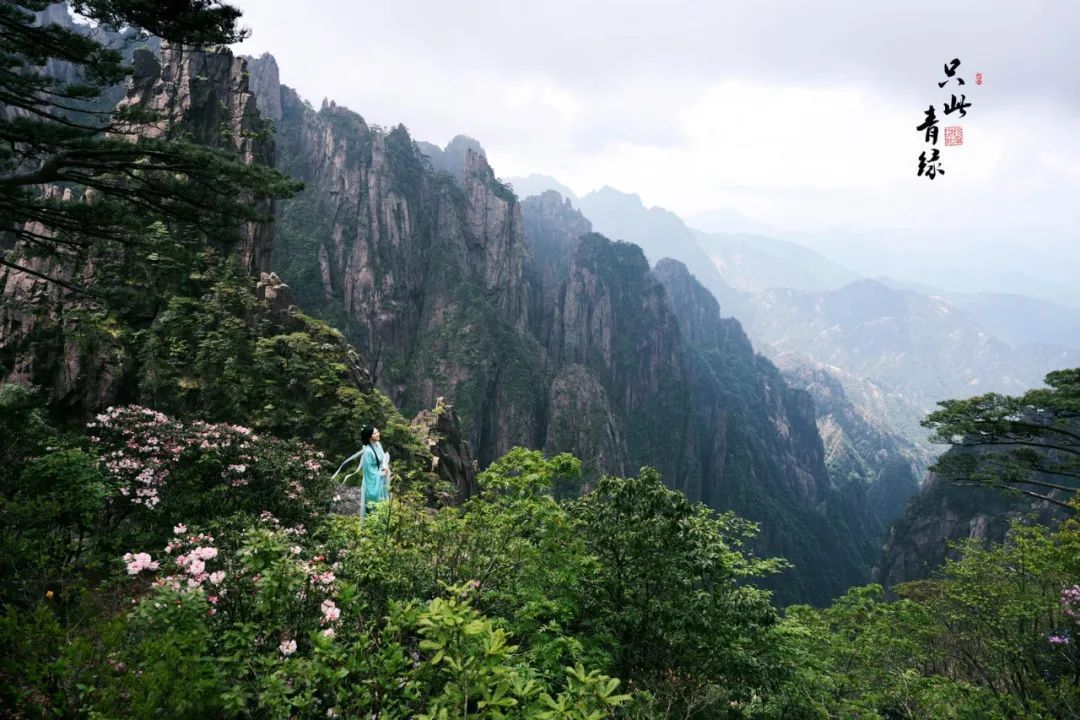 五一假期去哪玩？黄山市旅游攻略来了