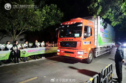 2只大熊猫出差奥地利