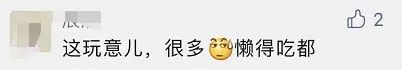 120元一斤！长沙人都出动了，随手摘一篮：满满的回忆杀