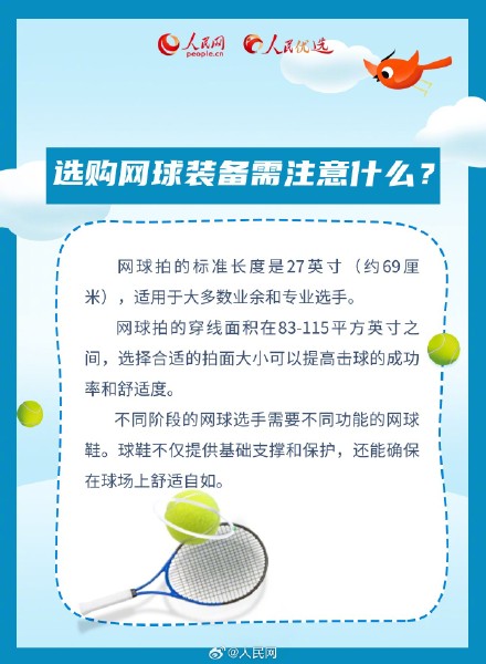 转发收藏!新手小白看网球比赛必学知识点 转发收藏!新手小白看网球比赛必学知识点