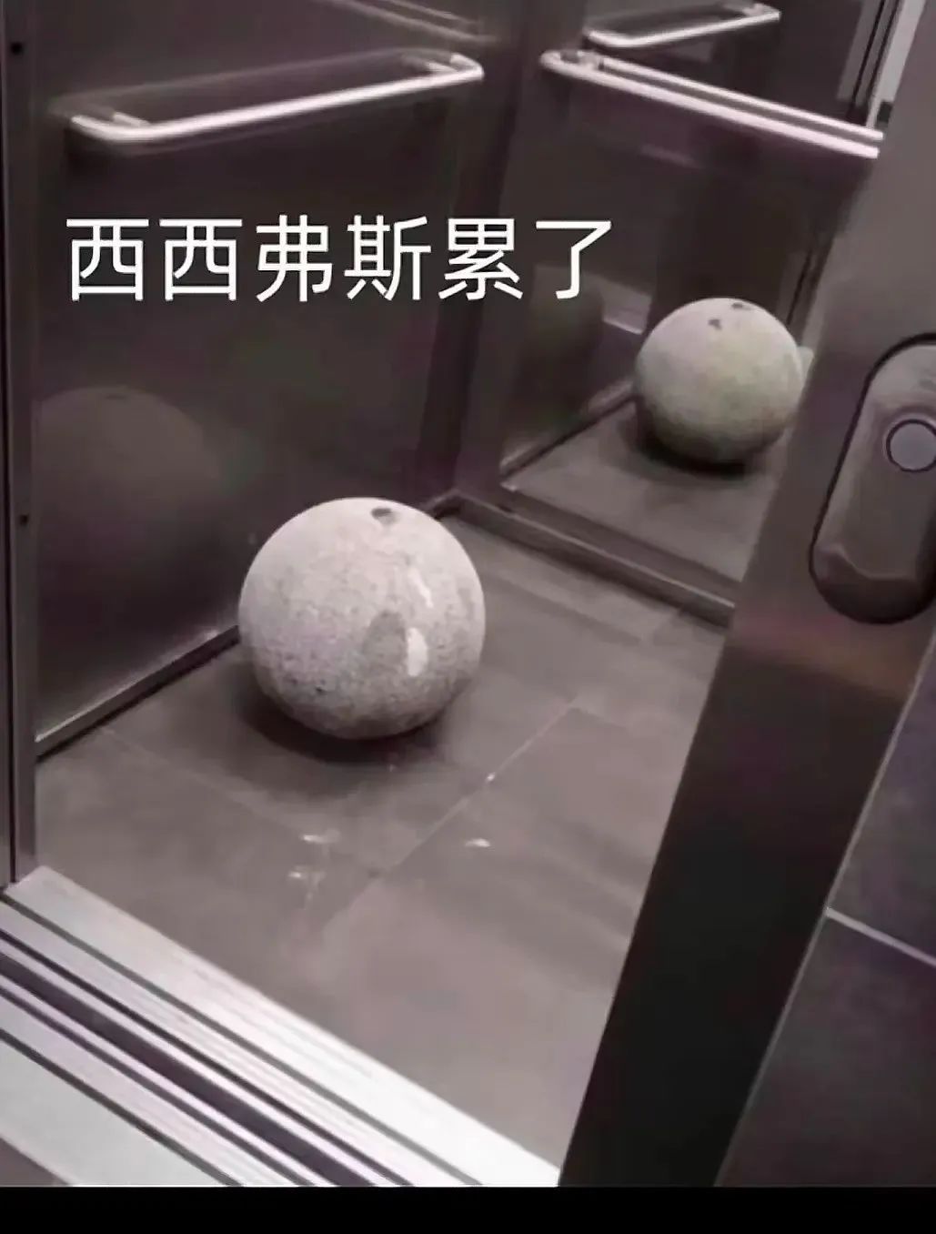 坏了，上次看书还是在去年的今天，怎么办？