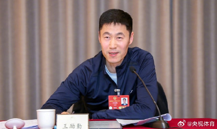 王励勤任中国乒协主席 王励勤任中国乒协主席