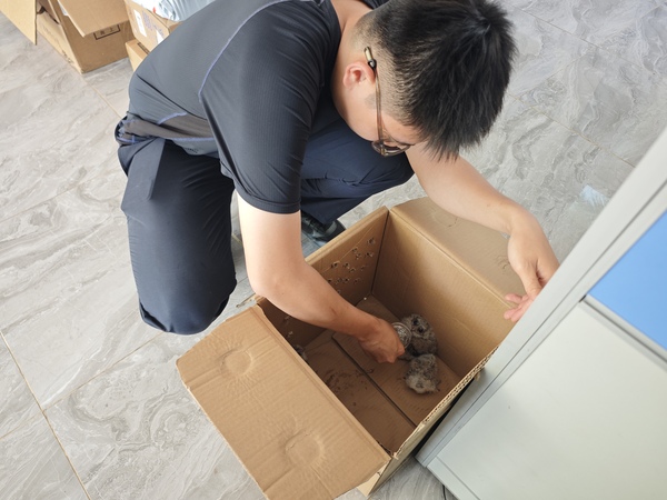 海南陵水：警民齐心 成功救助三只国家二级保护动物