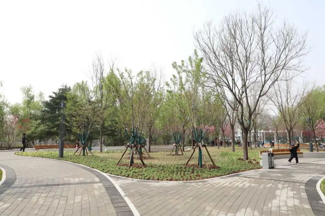 开园啦!北京地铁13号线旁,这个公园升级亮相—— 开园啦!北京地铁13号线旁,这个公园升级亮相——