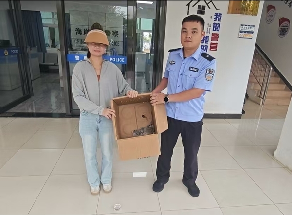 海南陵水：警民齐心 成功救助三只国家二级保护动物