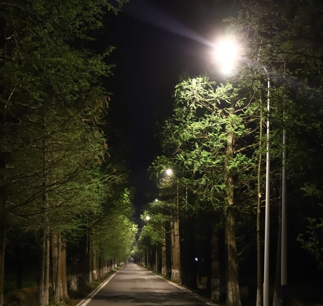 女子随手一拍，脸被灼伤，有人差点毁容！上海有人中招！毒液堪比硫酸