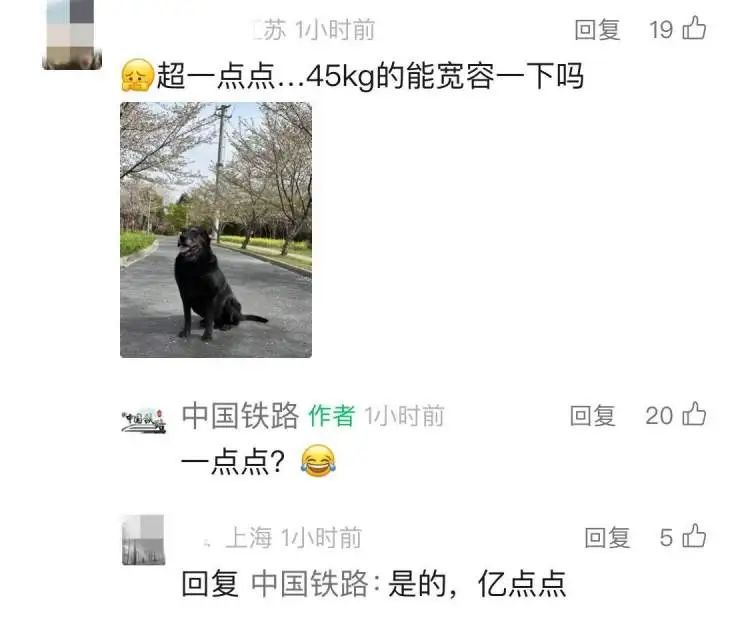 坐火车托运猫咪18小时后等来空箱！中铁快运回应