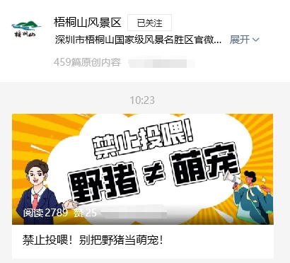 野猪在深圳梧桐山“职业乞讨”，景区回应→