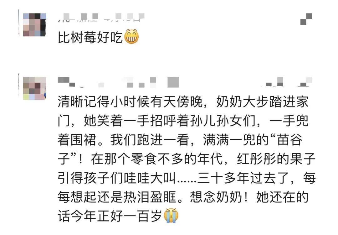 120元一斤！长沙人都出动了，随手摘一篮：满满的回忆杀