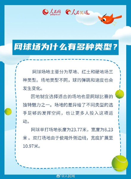 转发收藏!新手小白看网球比赛必学知识点 转发收藏!新手小白看网球比赛必学知识点