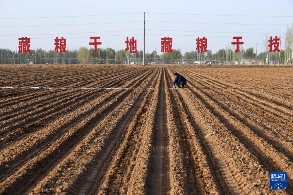内蒙古达拉特旗：“吨粮田”建设助力春耕生产