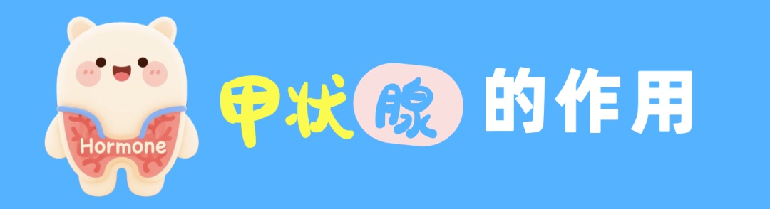 熬夜和生气,对你的甲状腺就是在混合双打…… 熬夜和生气,对你的甲状腺就是在混合双打……