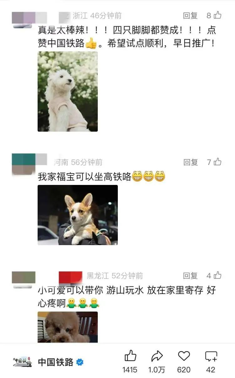 坐火车托运猫咪18小时后等来空箱！中铁快运回应