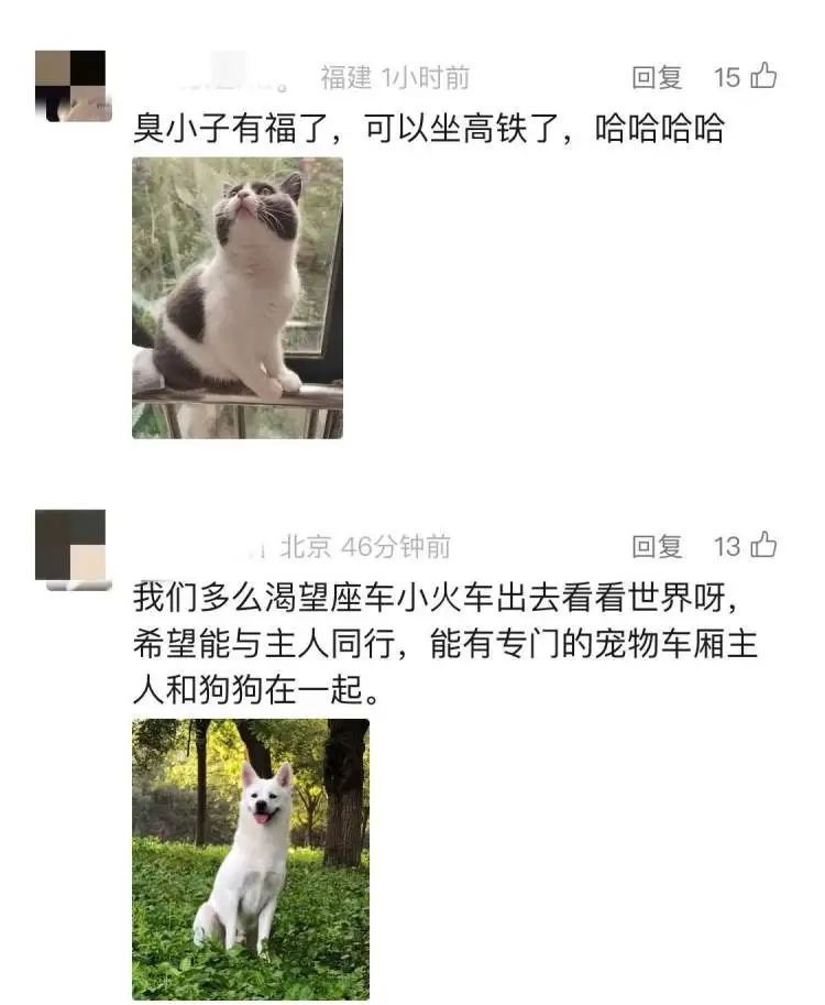 坐火车托运猫咪18小时后等来空箱！中铁快运回应