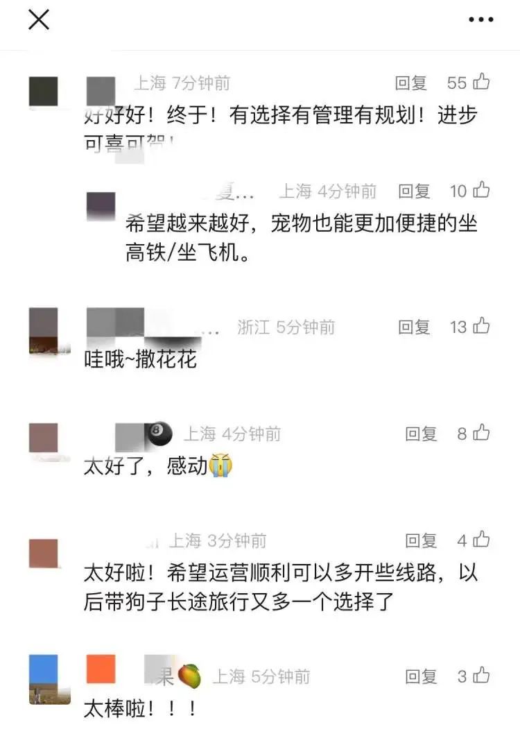 坐火车托运猫咪18小时后等来空箱！中铁快运回应