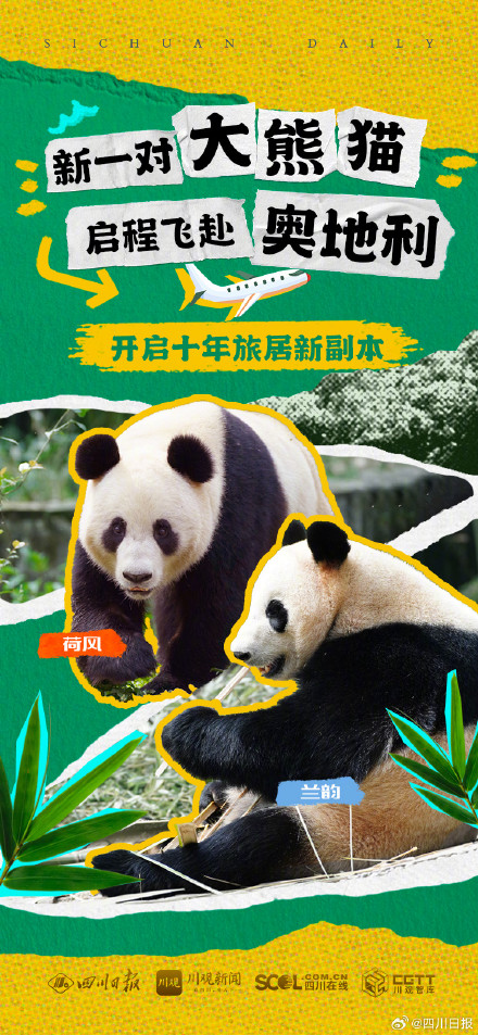 四川2只大熊猫去奥地利旅居了 四川2只大熊猫去奥地利旅居了