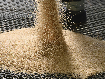 “25年来首次!”日本从韩国进口大米 “25年来首次!”日本从韩国进口大米