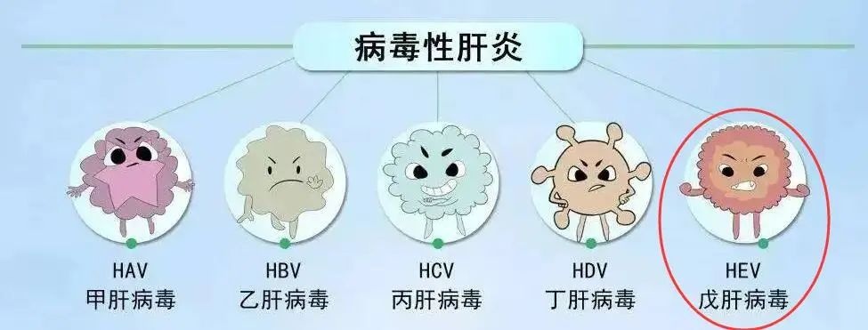 吃货小心！吃了它后广州一家五口接连感染！医生：容易误认为是感冒...