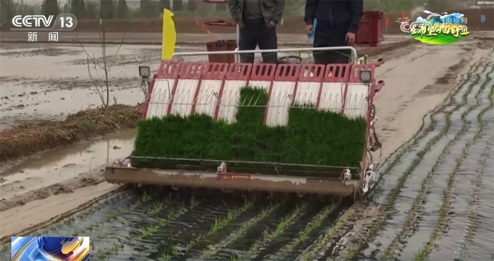 机械化、数字育秧、产业延伸 科技助力为农业生产装上了“智慧大脑” 机械化、数字育秧、产业延伸 科技助力为农业生产装上了“智慧大脑”