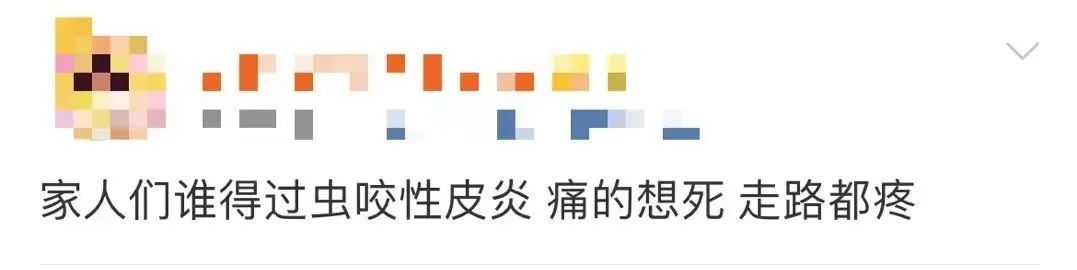 头皮发麻！感觉“全世界的虫都‘吻’了上来”