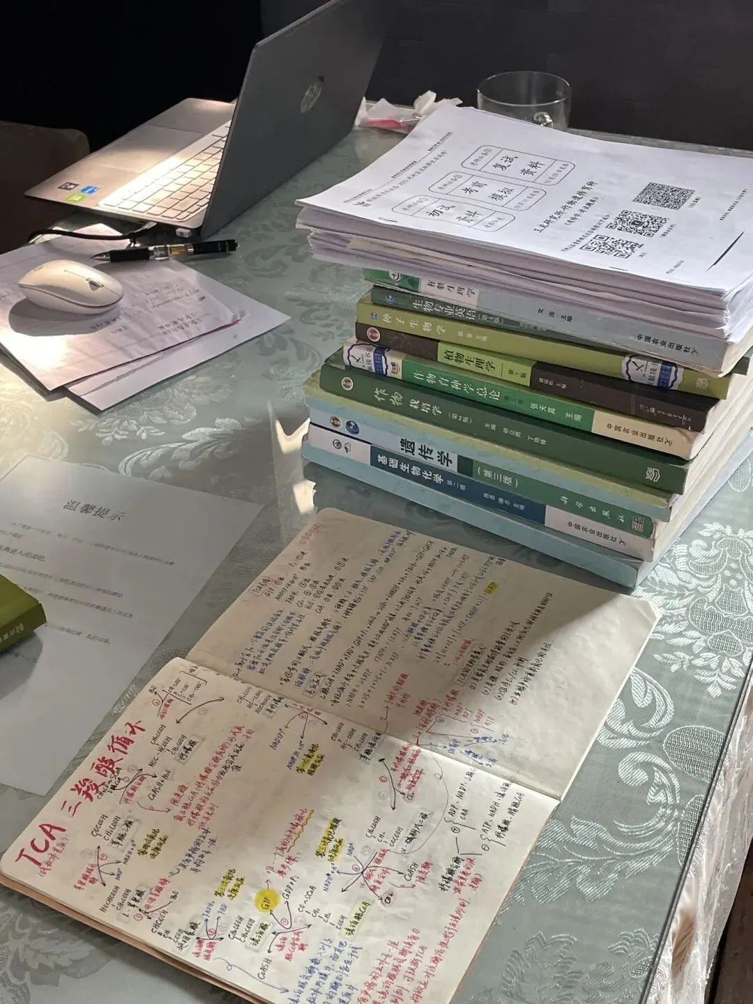 普洱茶学院一女生宿舍全员考研成功，秘诀在哪里？