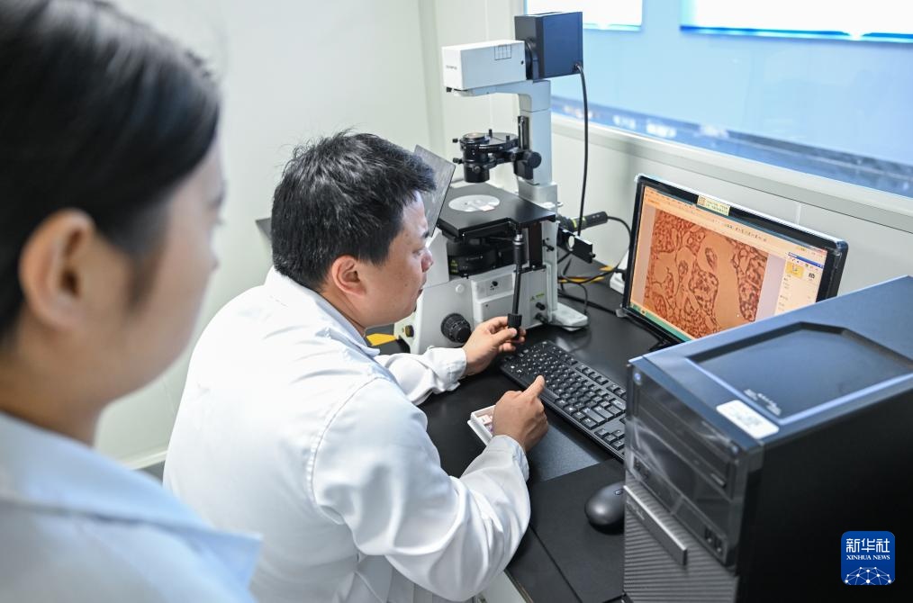 水中精灵的守护者 水中精灵的守护者