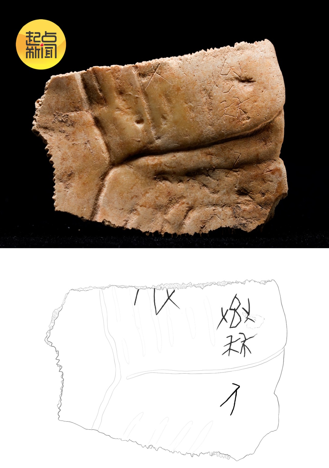 陕西这一遗址入选！2024年度全国十大考古新发现公布