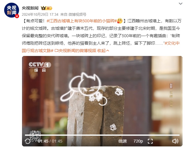几百年前小猫留下的痕迹曝光！网友：有生之年被一块石头萌到了