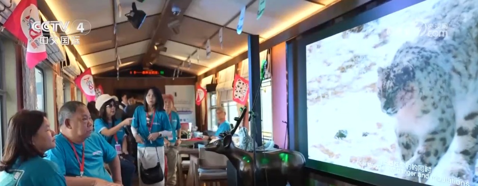 从“银发旅游专线”到“研学主题车厢” 旅游列车“解锁”消费密码