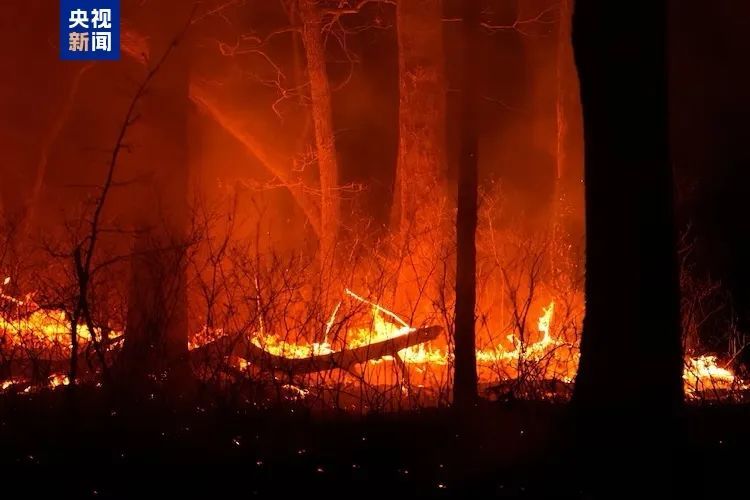 美国新泽西州山火迅速蔓延，危及附近多个镇