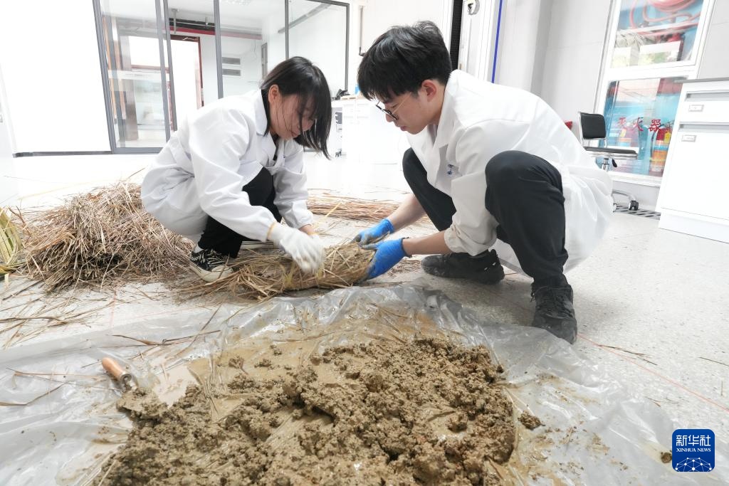 智绘中国·世遗镜鉴｜良渚遗址：科技照亮文明之光