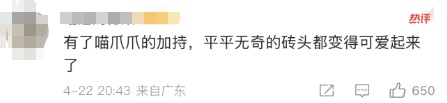 几百年前小猫留下的痕迹曝光！网友：有生之年被一块石头萌到了