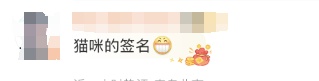 几百年前小猫留下的痕迹曝光！网友：有生之年被一块石头萌到了