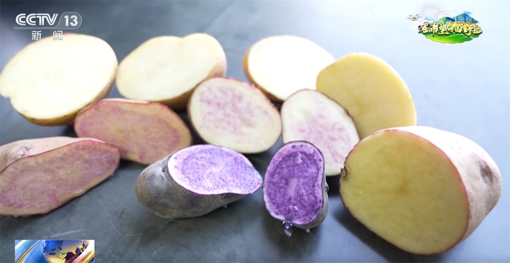 机械化、数字育秧、产业延伸 科技助力为农业生产装上了“智慧大脑” 机械化、数字育秧、产业延伸 科技助力为农业生产装上了“智慧大脑”