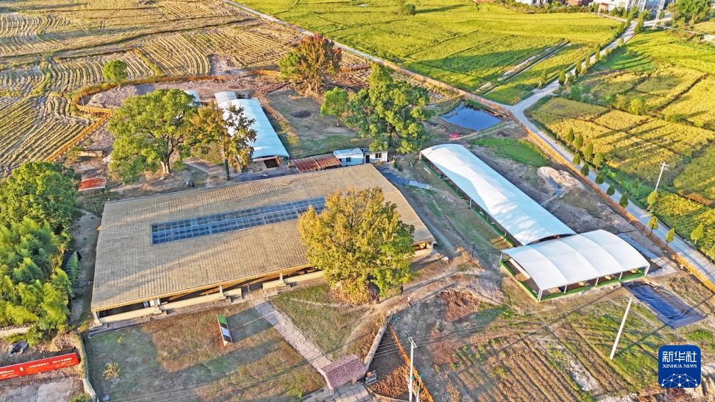 2024年度全国十大考古新发现揭晓