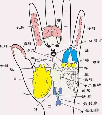 拍手能养生，每天几分钟，效果好！
