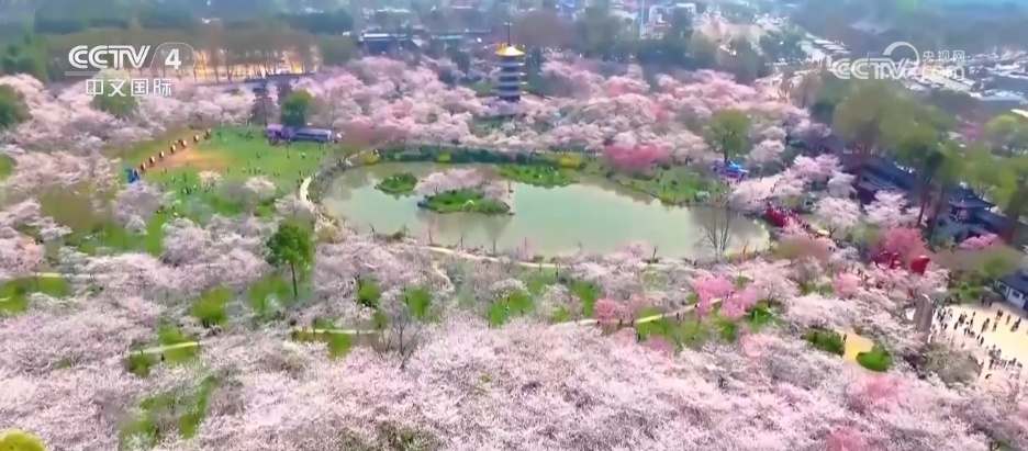 科技赋能各地文旅“多点开花” 特色标签让“小地方”赢得“大流量” 科技赋能各地文旅“多点开花” 特色标签让“小地方”赢得“大流量”