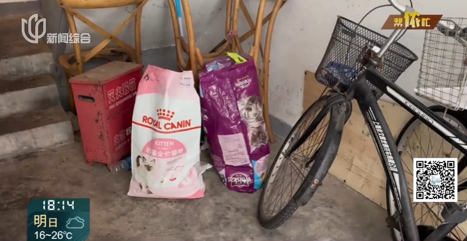 上海阿姨把自己房子让给了流浪猫，自己却租房住楼下？邻居苦透：太臭了！