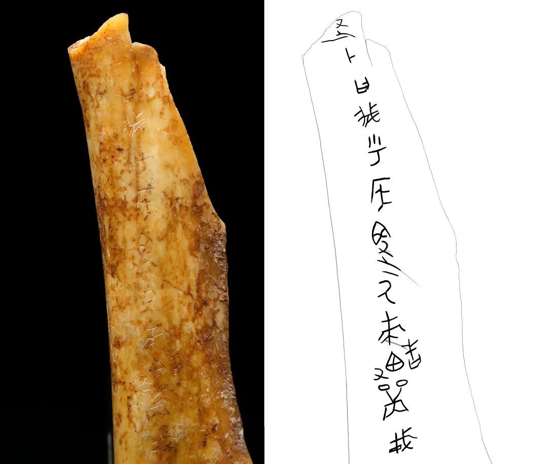 云南一地上榜!全国十大考古新发现公布! 云南一地上榜!全国十大考古新发现公布!