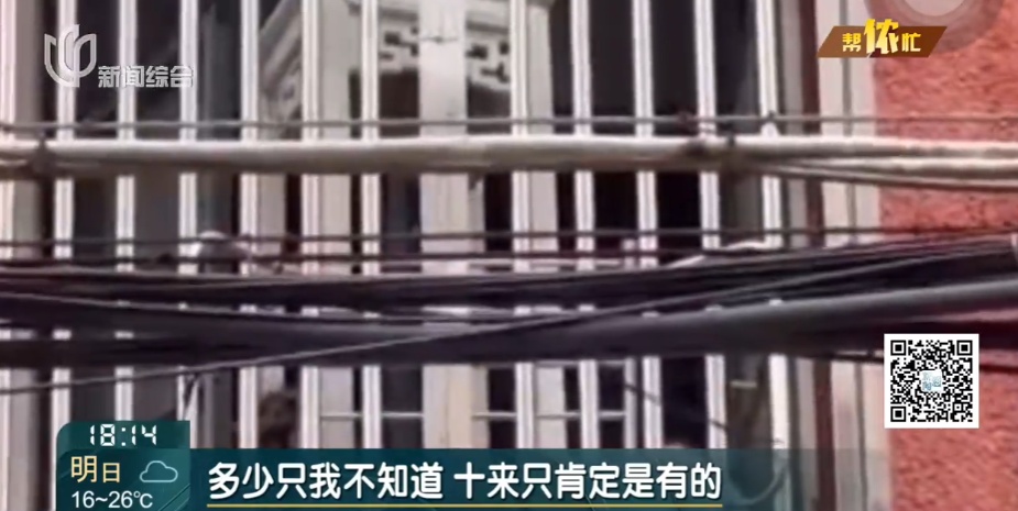 “香水喷喷就没了”？上海阿姨把住房让出！邻居苦透，出门一股尿骚臭...